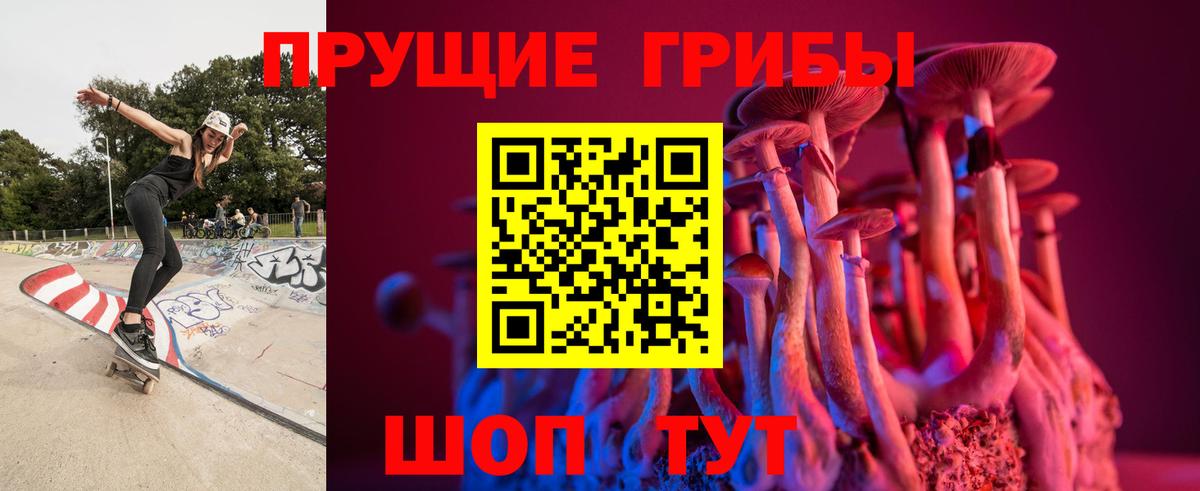 Нурлат  Галлюциногенные грибы Cubensis  Вход с VPN  Галлюциногенные грибы MAGIC MUSHROOMS 